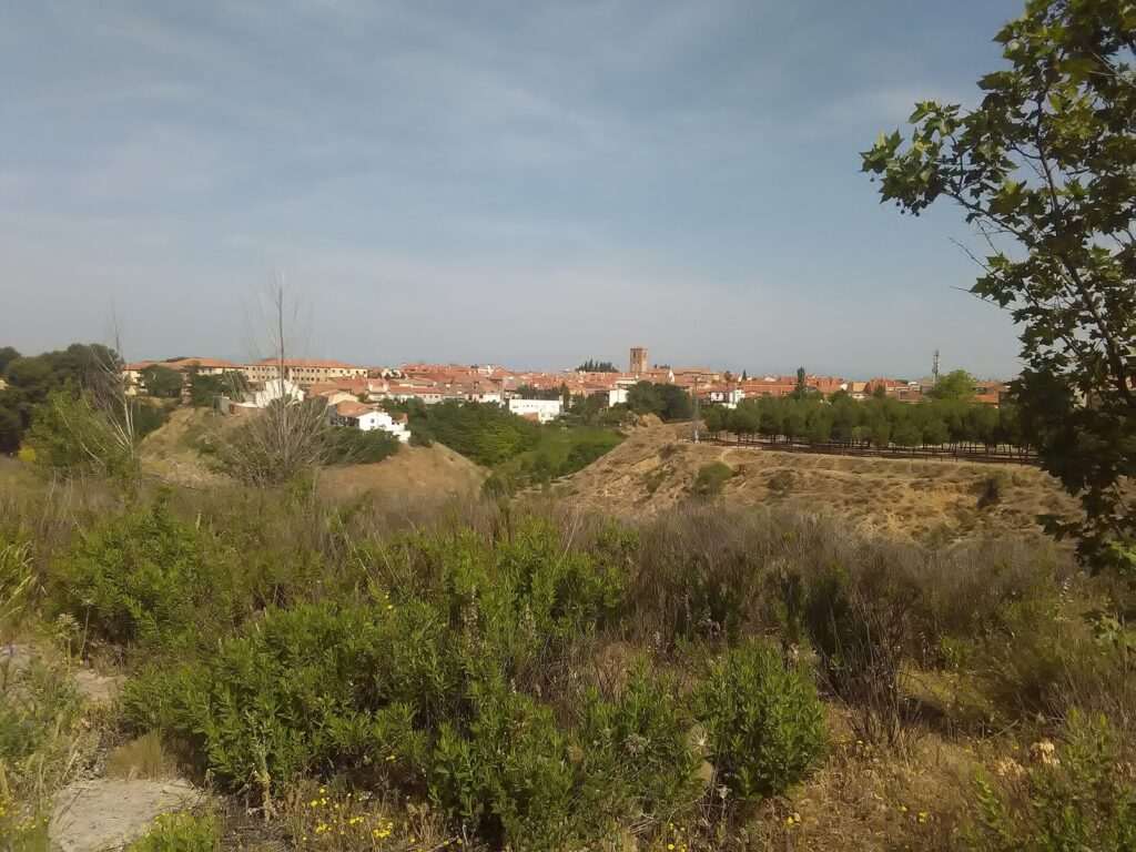 Vista del casco urbano de Paracuellos de Jarama desde el sur, con tejados rojizos y una torre, entre matorral y cerros.
