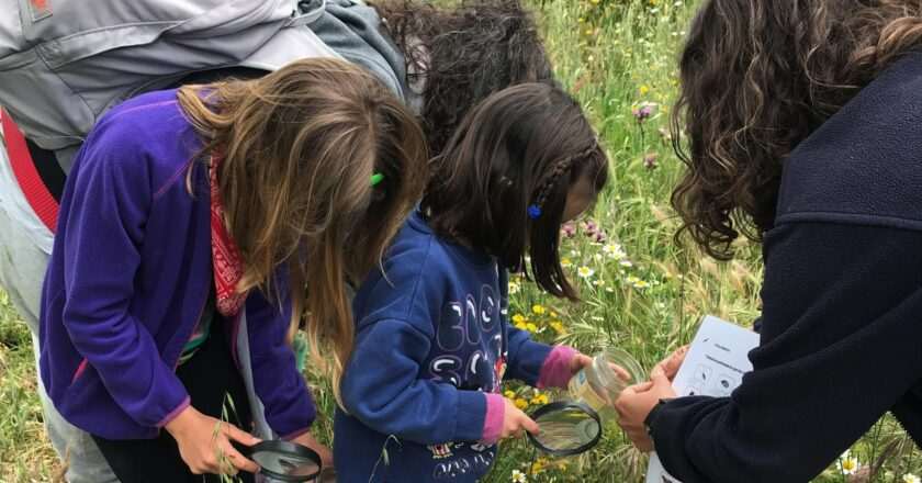 Centros de educación ambiental: más de 200 actividades gratuitas para explorar el patrimonio natural