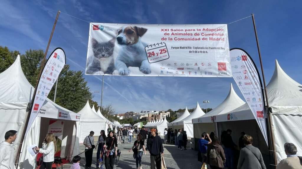 Salón de adopción de animales de compañía 2023: este fin de semana en Puente del Rey