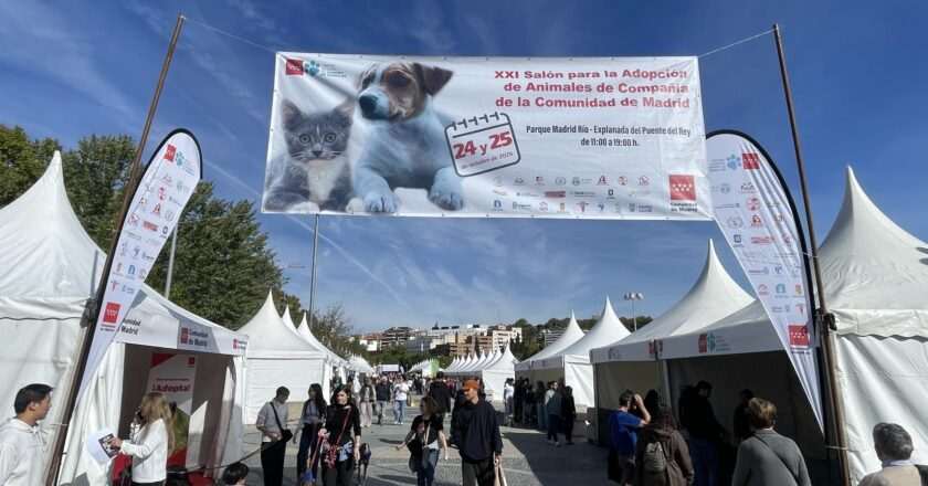 Salón de adopción de animales de compañía: este fin de semana en Puente del Rey